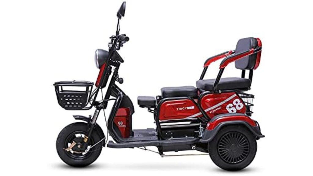 ZJDU Electric - Best Powerful 3 Wheel Electric Scooter (Best for heavy duty upto 300KG)
