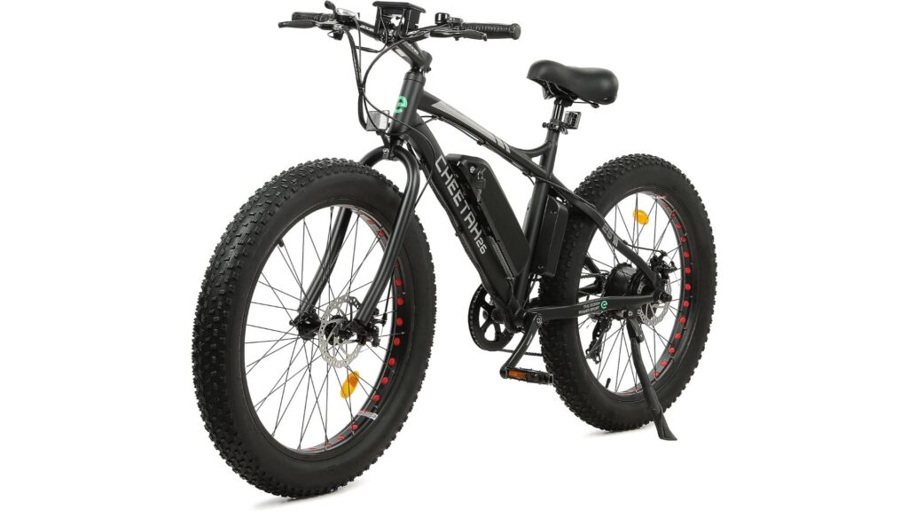 Ecotric Fat Tire Electric Bike